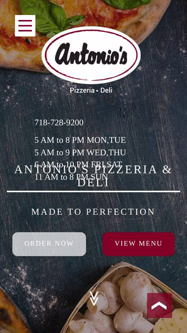 Screenshot of antonios.nyc
