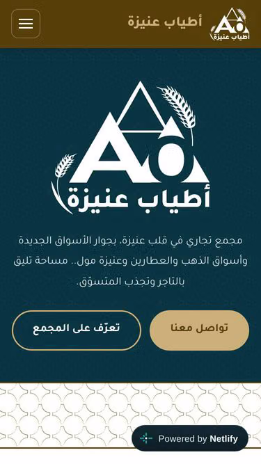 Screenshot of aoc.com.sa