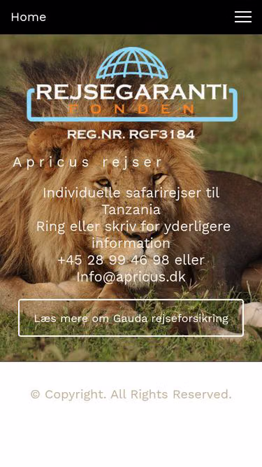 Screenshot of apricus.dk