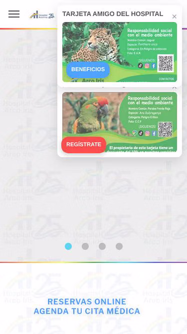 Screenshot of arcoiris.org.bo