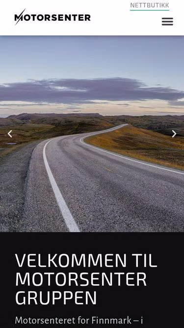 Screenshot of arctic.no