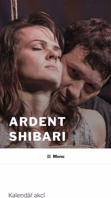 Screenshot of ardent.cz