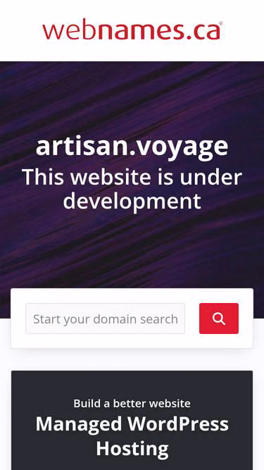 Screenshot of artisan.voyage