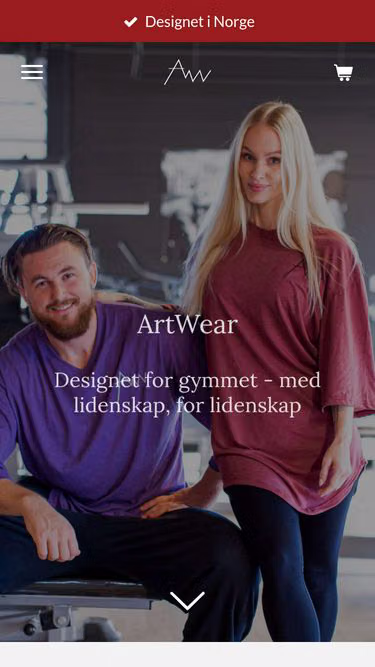 Screenshot of artwear.no