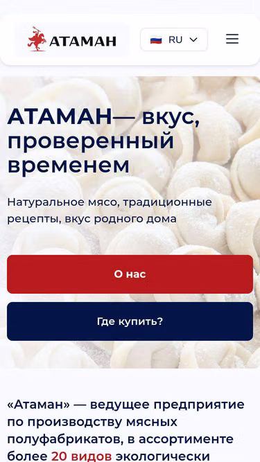 Screenshot of ataman.kg