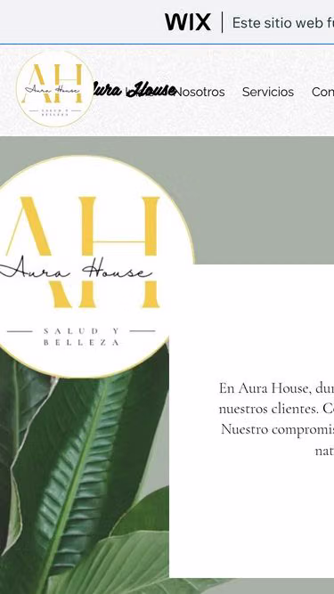Screenshot of aurahouse.cl