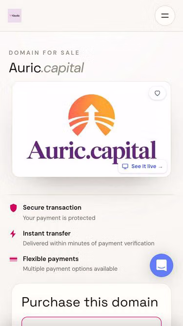 Screenshot of auric.capital
