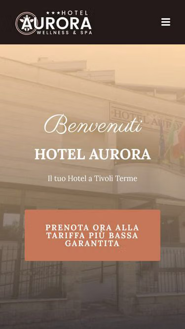 Screenshot of aurorahotel.net