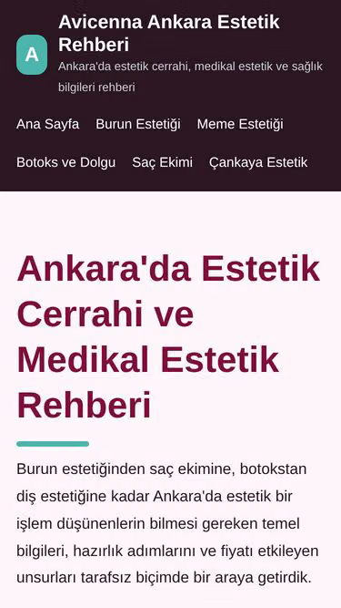 Screenshot of avicenna.org.tr
