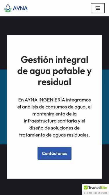 Screenshot of ayna.com.pe