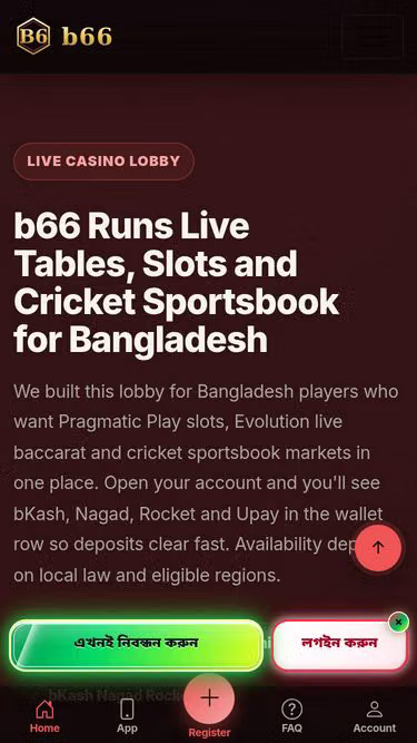Screenshot of b66.life
