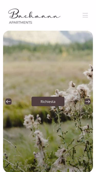 Screenshot of bachmann.it