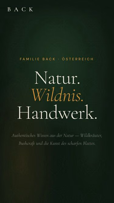 Screenshot of back.co.at