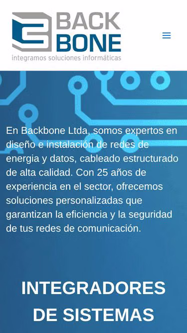 Screenshot of backbone.com.co