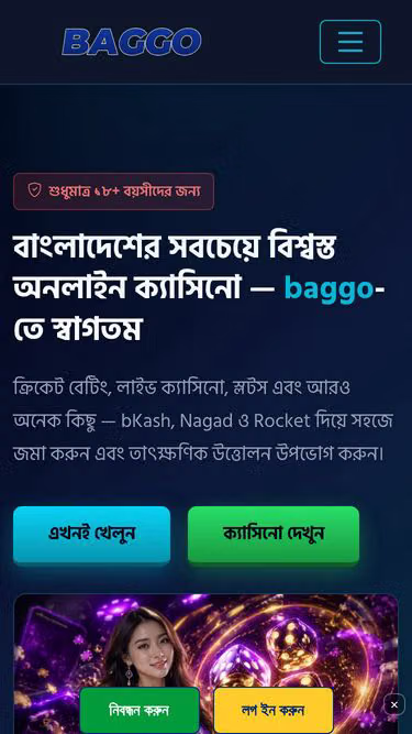 Screenshot of baggo.io