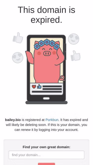 Screenshot of bailey.bio