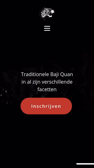 Screenshot of baji.be
