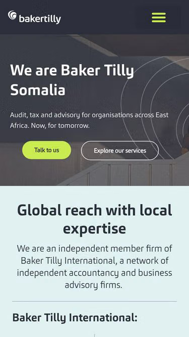Screenshot of bakertilly.so