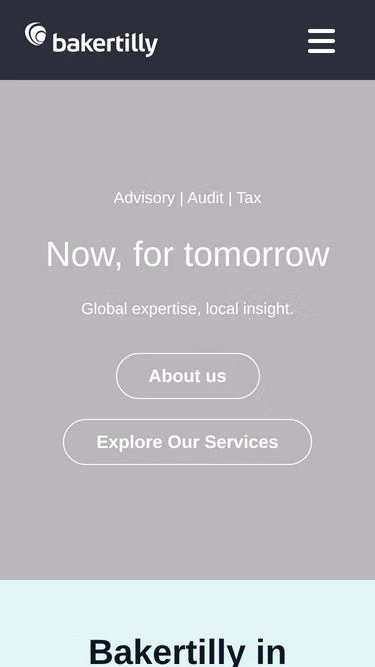Screenshot of bakertilly.ug