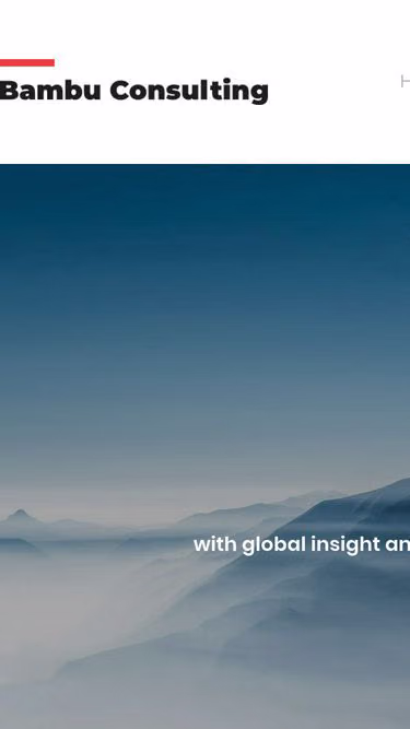 Screenshot of bambu.consulting