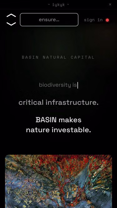 Screenshot of basin.global