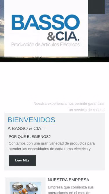 Screenshot of basso.cl