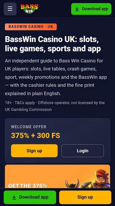 Screenshot of basswin.download