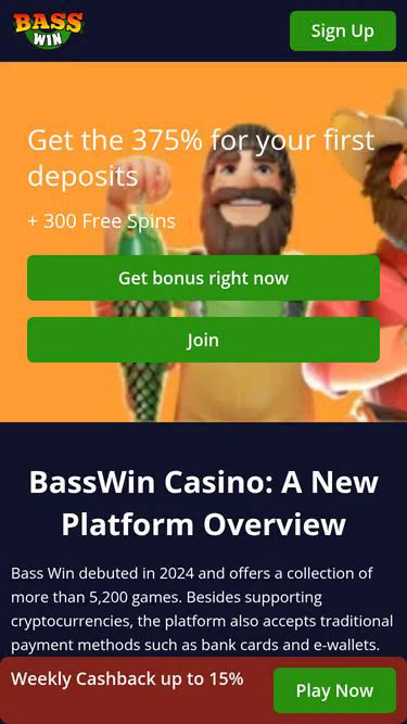 Screenshot of basswin.one