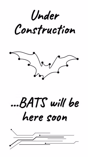 Screenshot of bats.mv