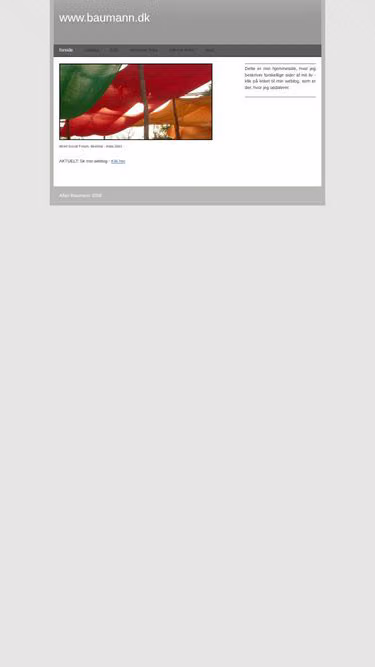 Screenshot of baumann.dk