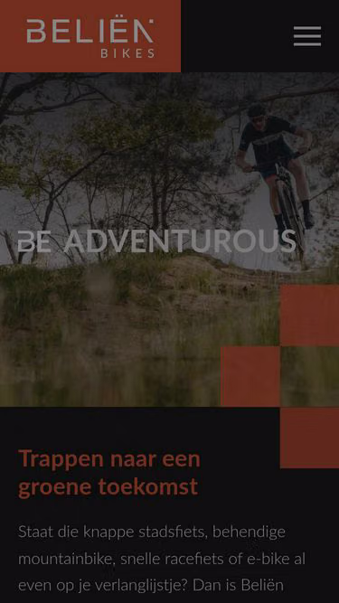 Screenshot of bax.be