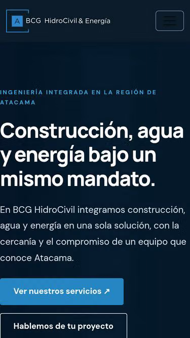 Screenshot of bcg.cl