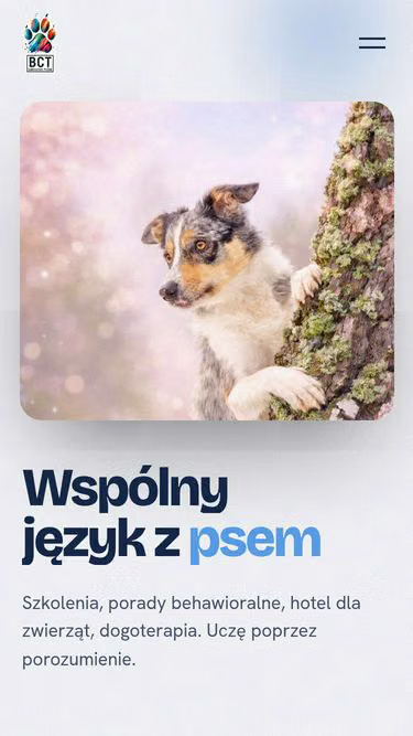 Screenshot of bct.info.pl