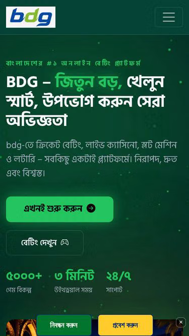 Screenshot of bdg.asia