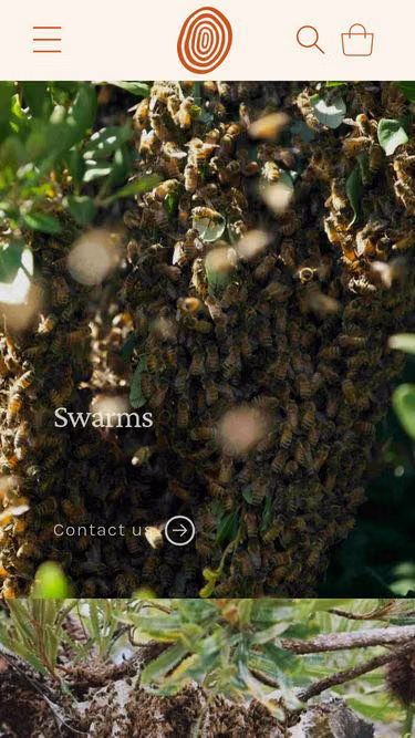 Screenshot of bee.org.au