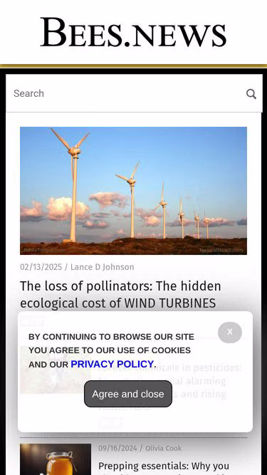 Screenshot of bees.news