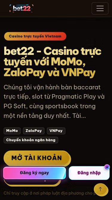 Screenshot of bet22.website