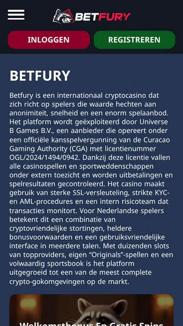 Screenshot of betfury.win