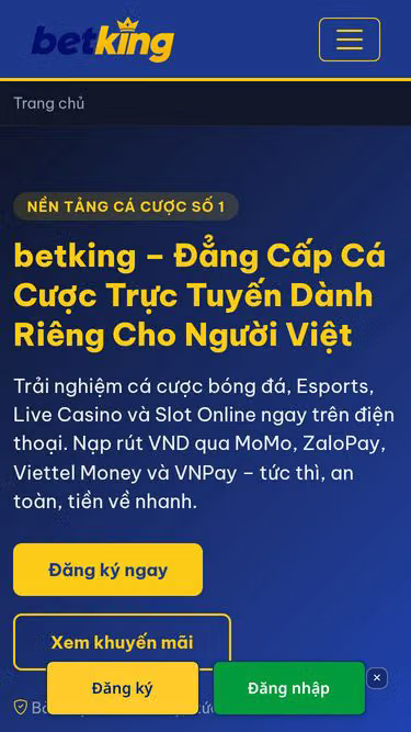 Screenshot of betking.ceo
