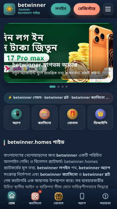 Screenshot of betwinner.homes