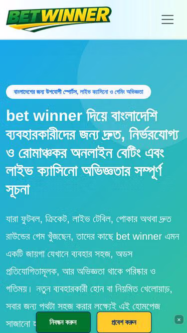 Screenshot of betwinner.run
