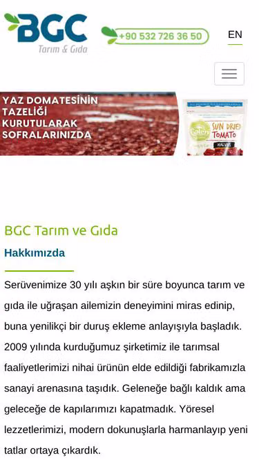 Screenshot of bgc.com.tr