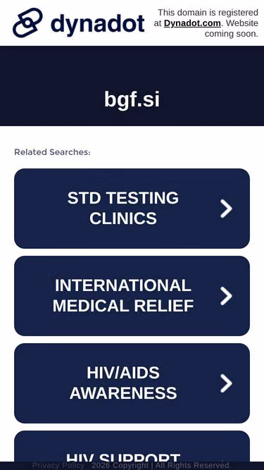 Screenshot of bgf.si