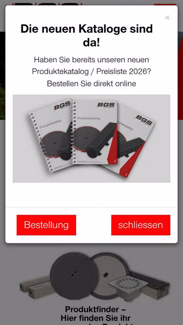 Screenshot of bgs.ch