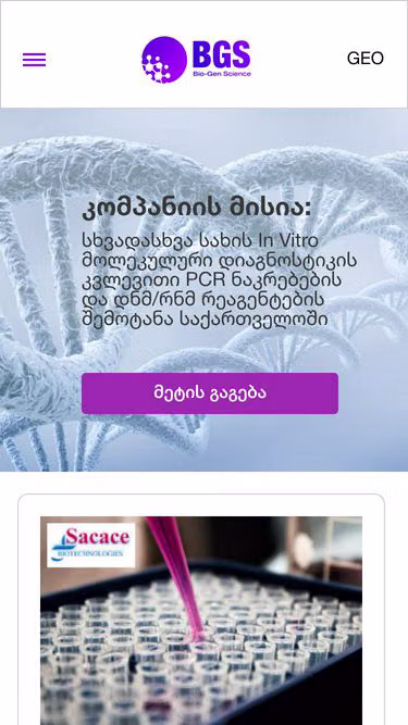 Screenshot of bgs.ge