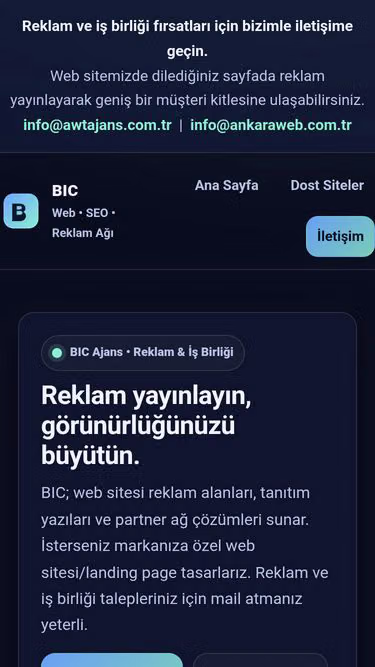 Screenshot of bic.com.tr