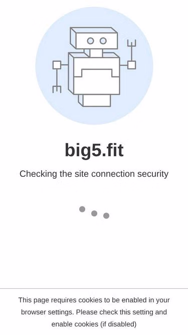 Screenshot of big5.fit