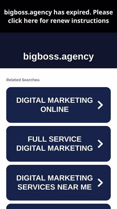 Screenshot of bigboss.agency