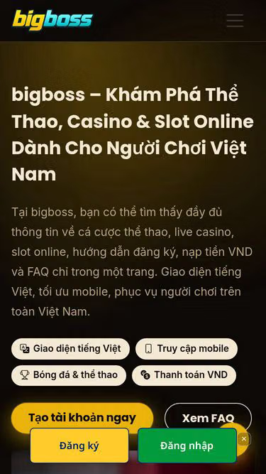 Screenshot of bigboss.pw