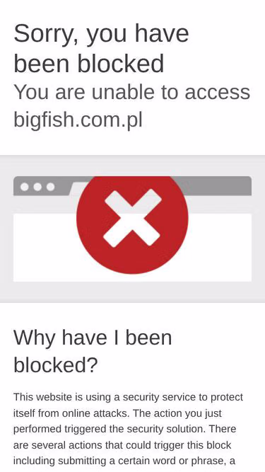Screenshot of bigfish.com.pl